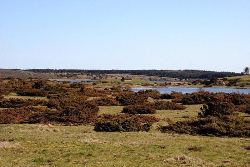 Hedelandets Camping Sevel Екстериор снимка